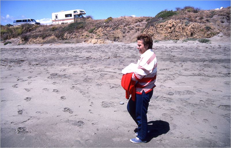 Oh no!   Gathering up all the seashore rocks
